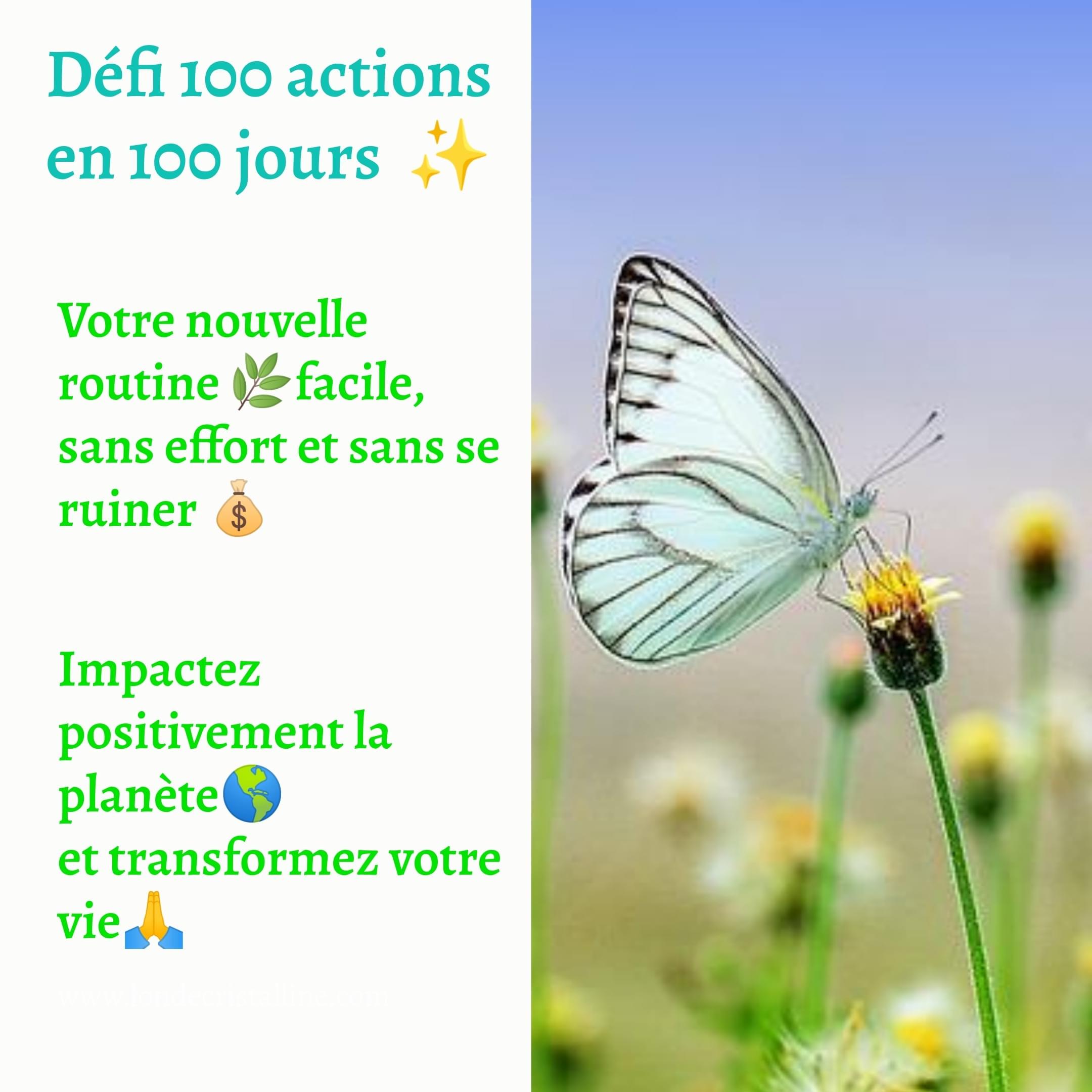 Formation chamane Onde Cristalline